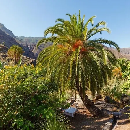 Holiday home In El Risco Mit Garten, Terrasse Und Grill Agaete (Gran Canaria)