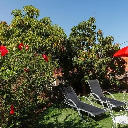 Holiday home In El Risco Mit Garten, Terrasse Und Grill Agaete (Gran Canaria)